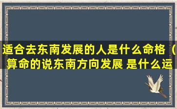 适合去东南发展的人是什么命格（算命的说东南方向发展 是什么运气）